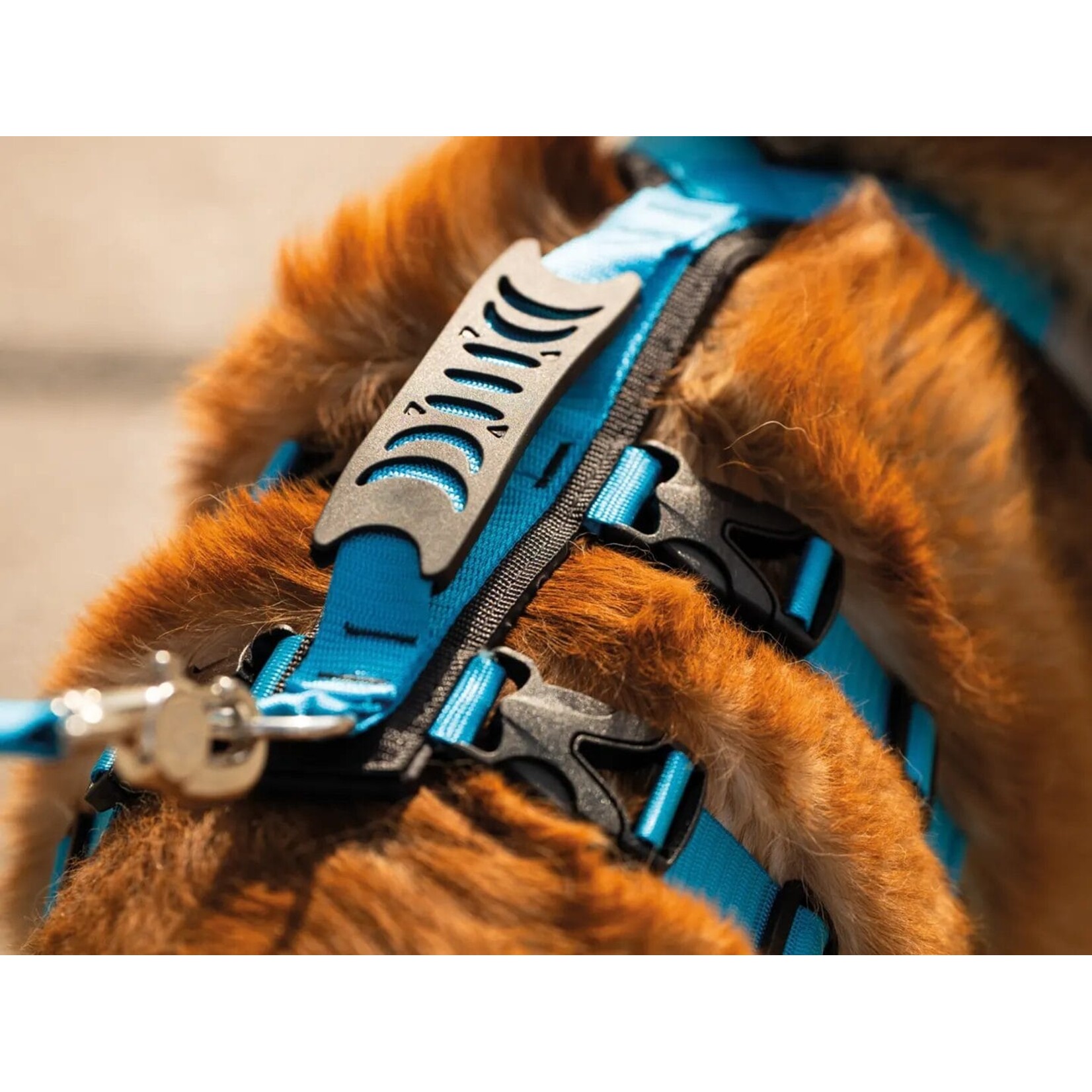 Nahak Harnais hybride pour chien