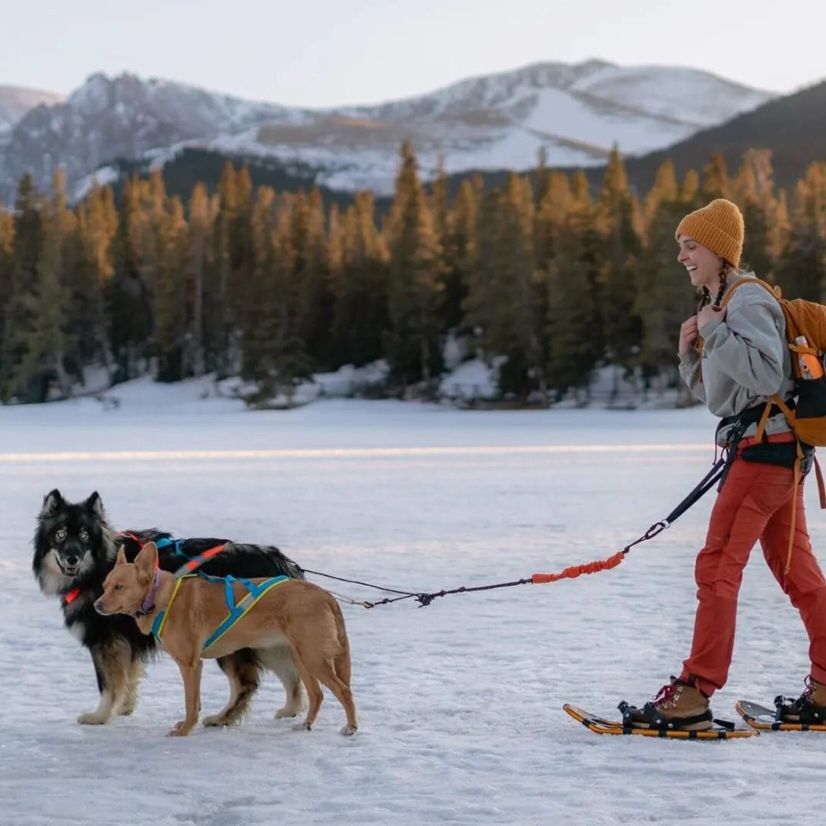 Nahak Laisse bungee multisport