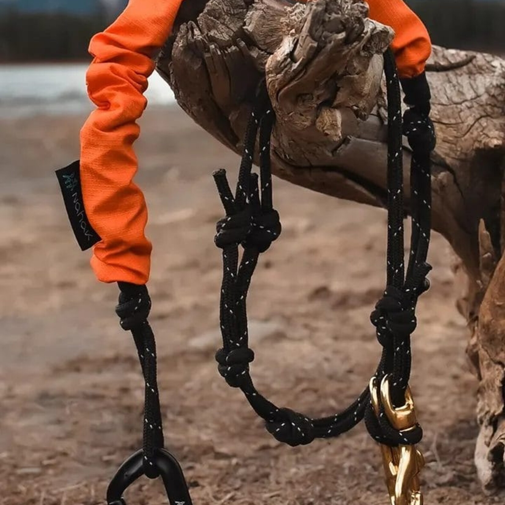 Nahak Laisse bungee multisport