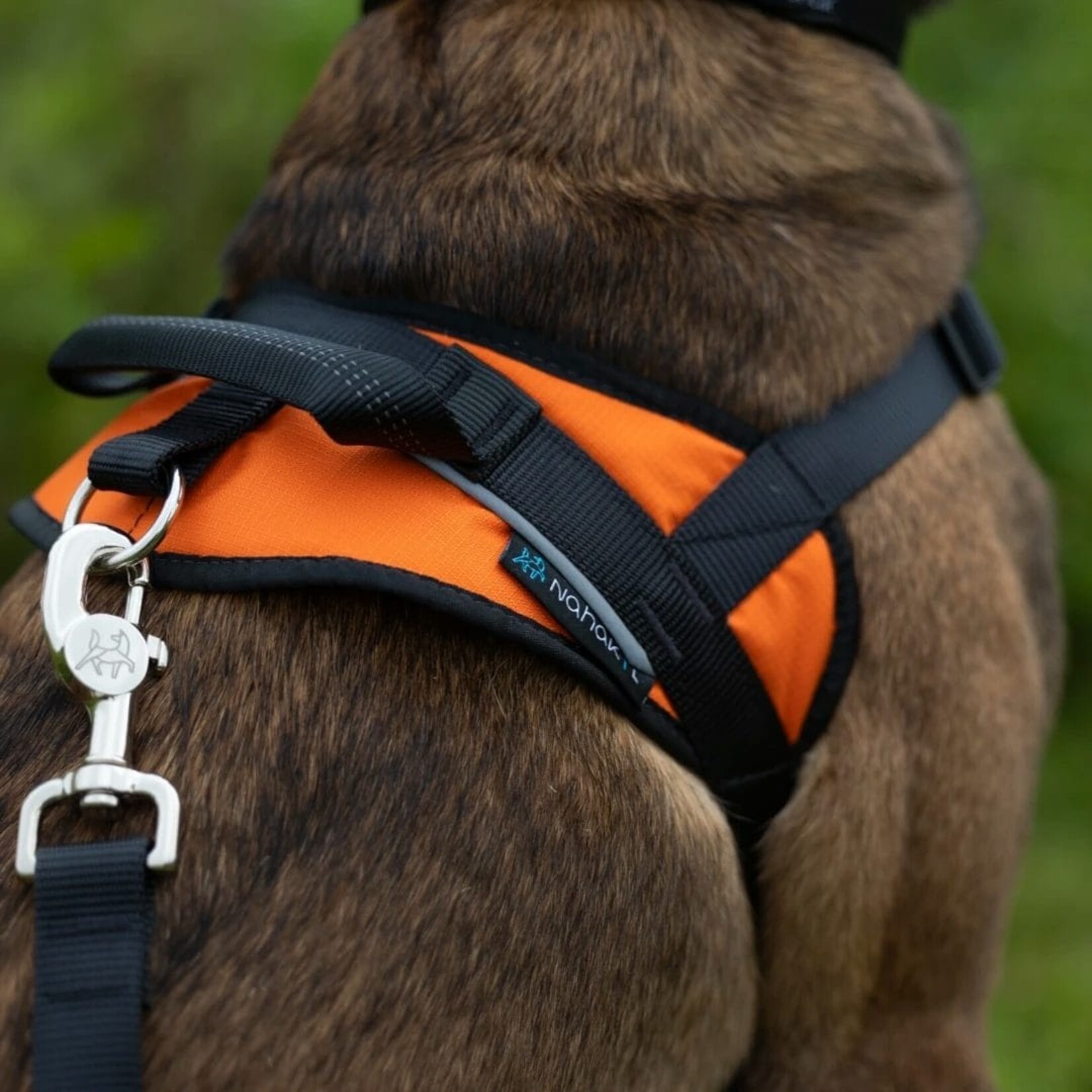 Nahak Harnais de marche pour chien