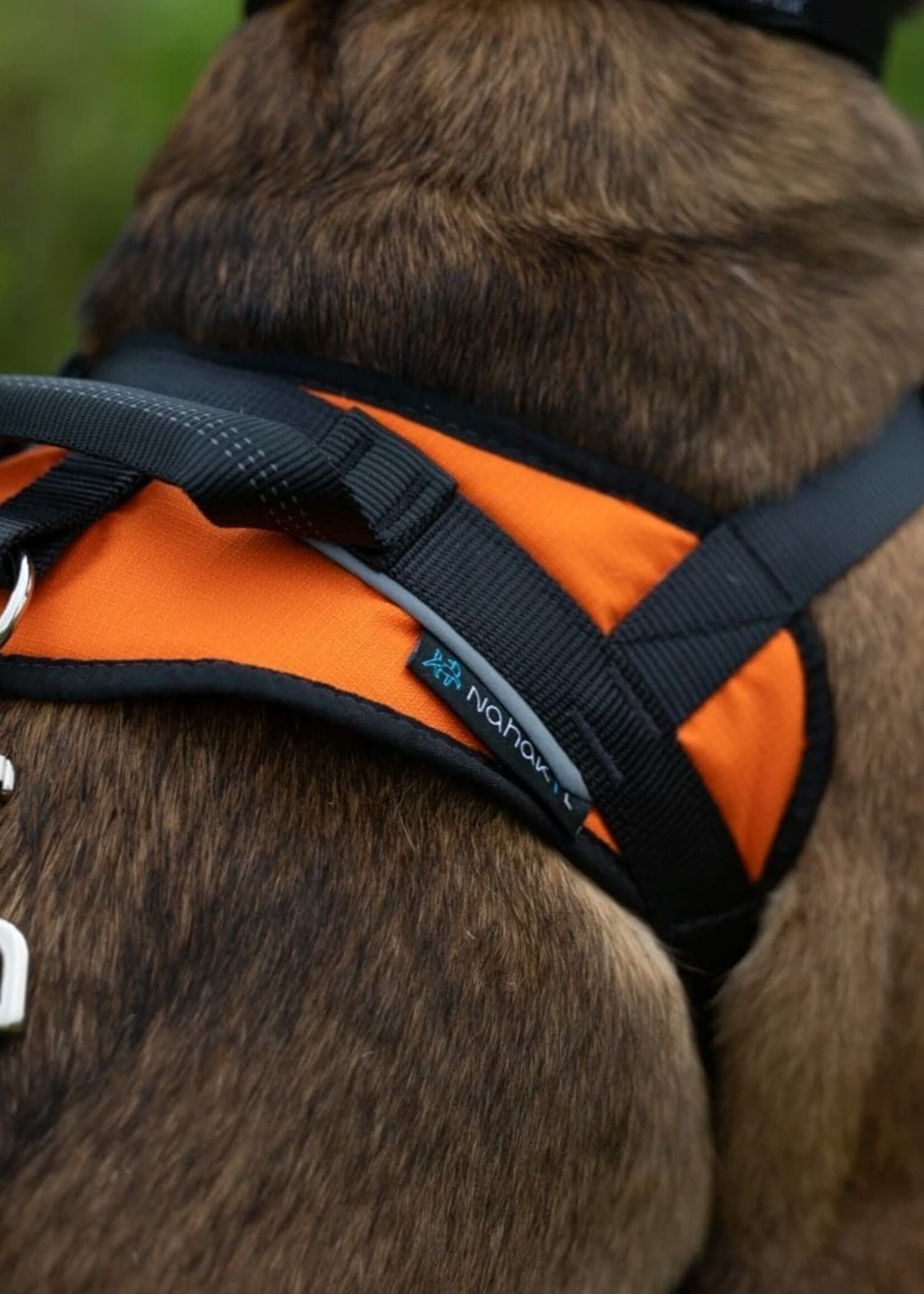 Nahak Harnais de marche pour chien