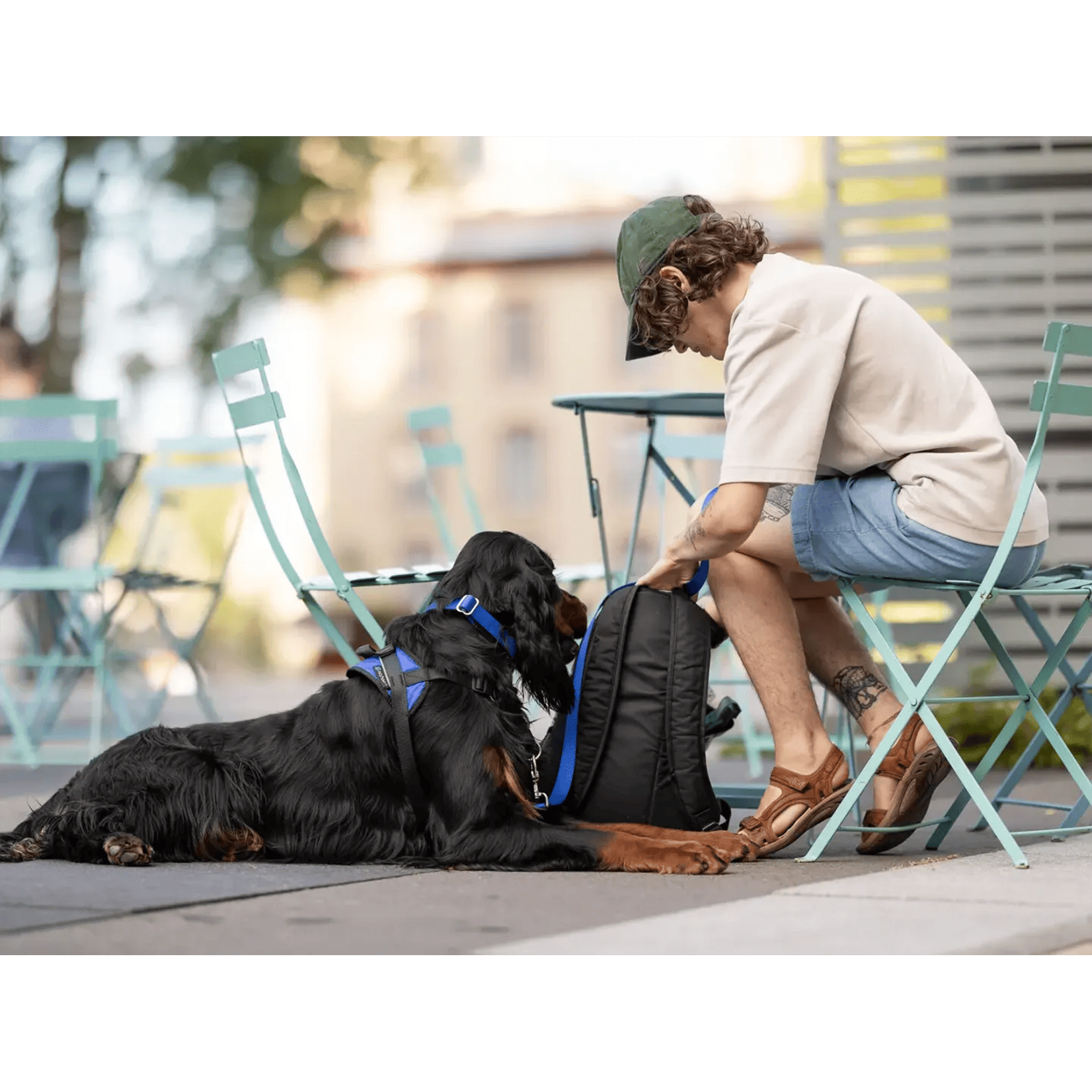 Nahak Harnais de marche pour chien