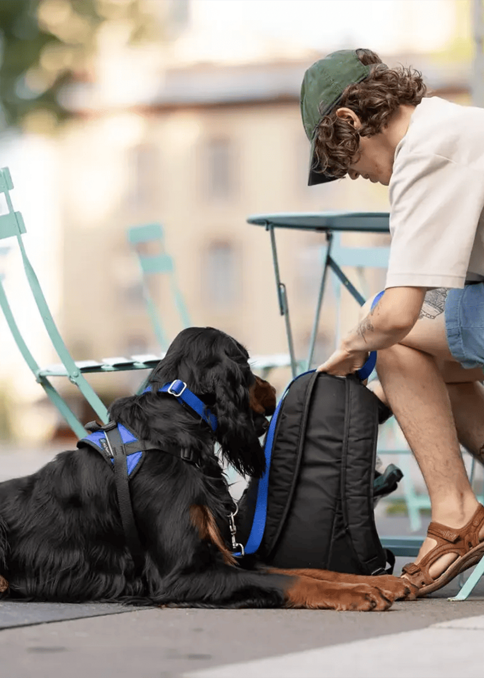 Nahak Harnais de marche pour chien