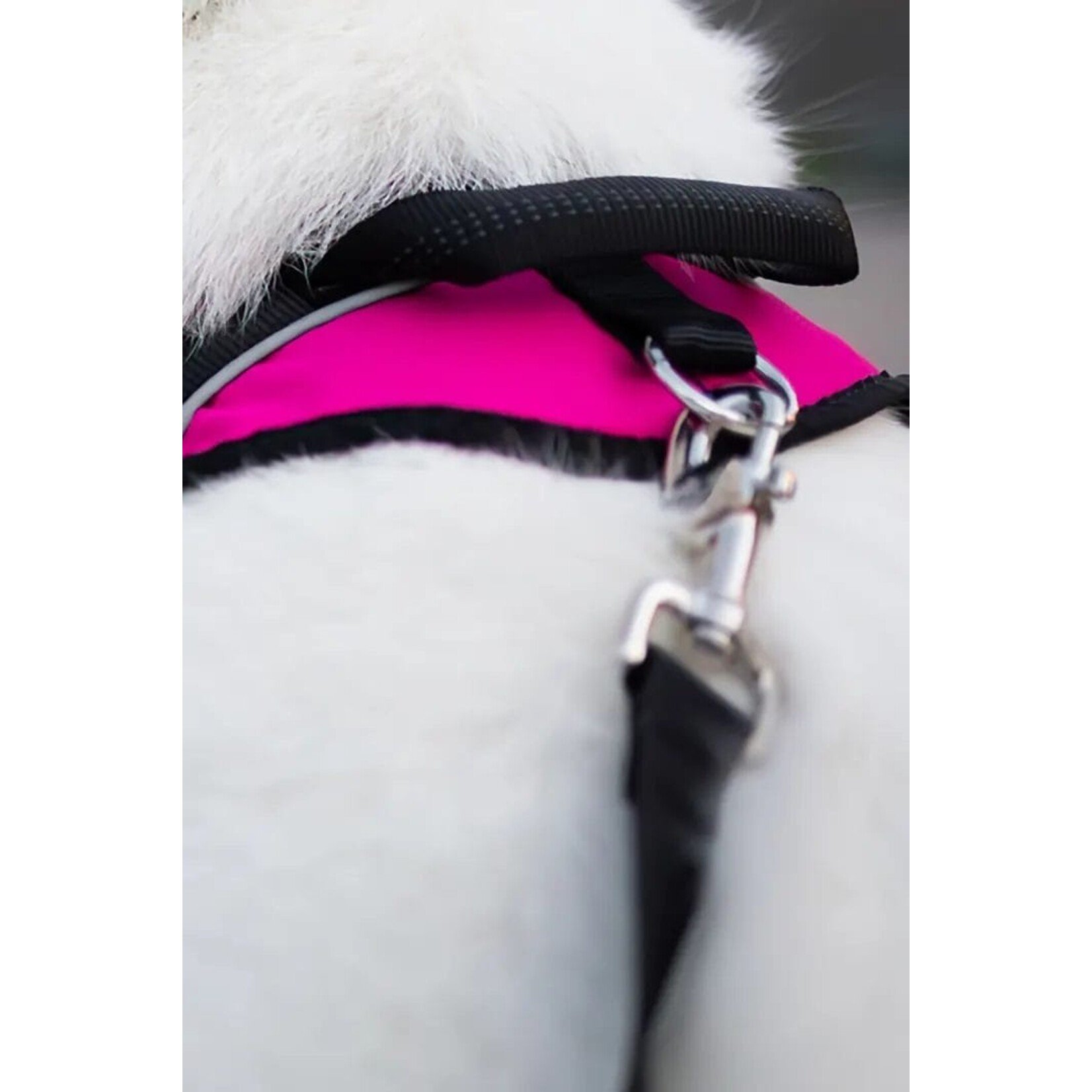 Nahak No pull dog harness
