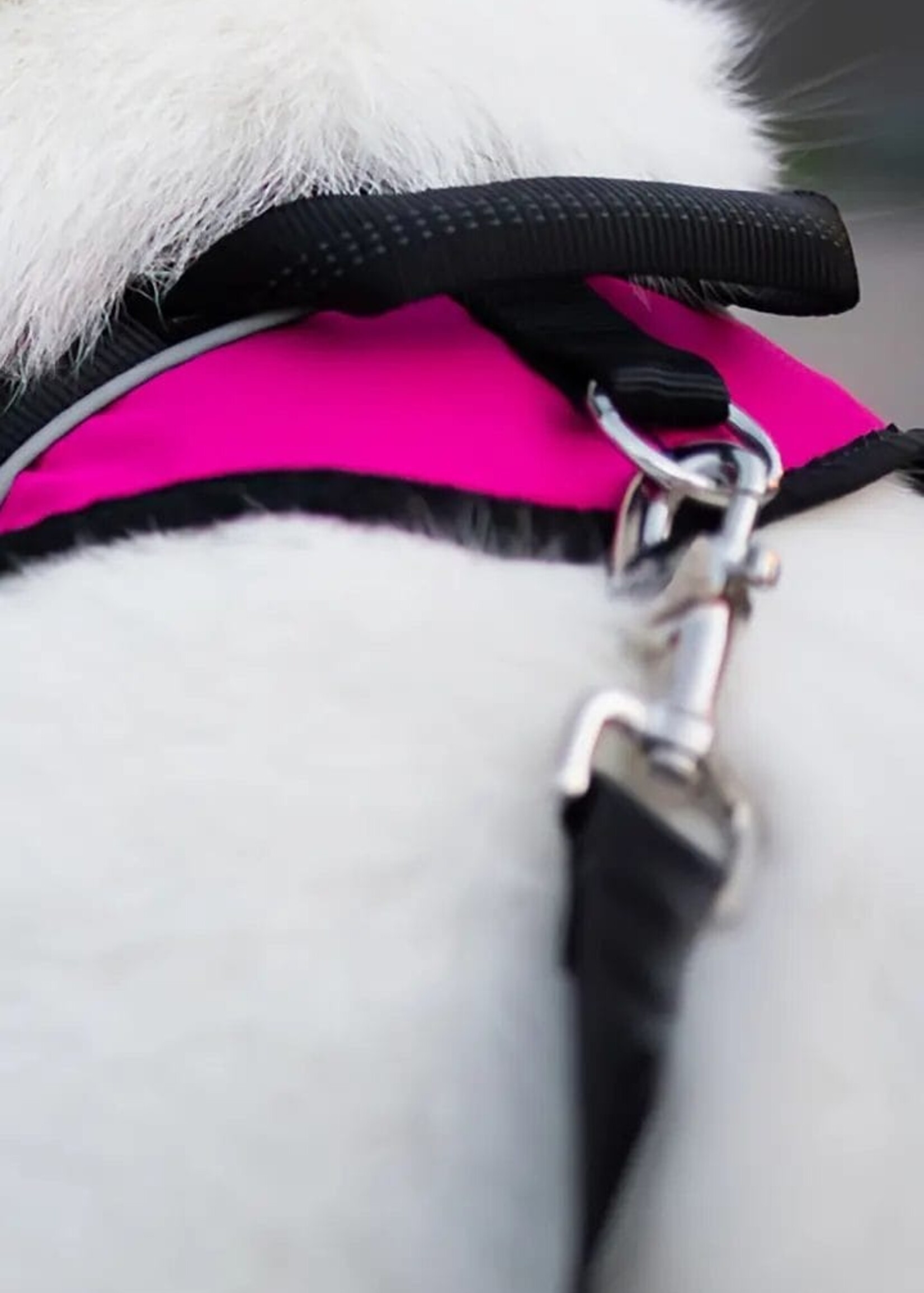 Nahak Harnais de marche pour chien