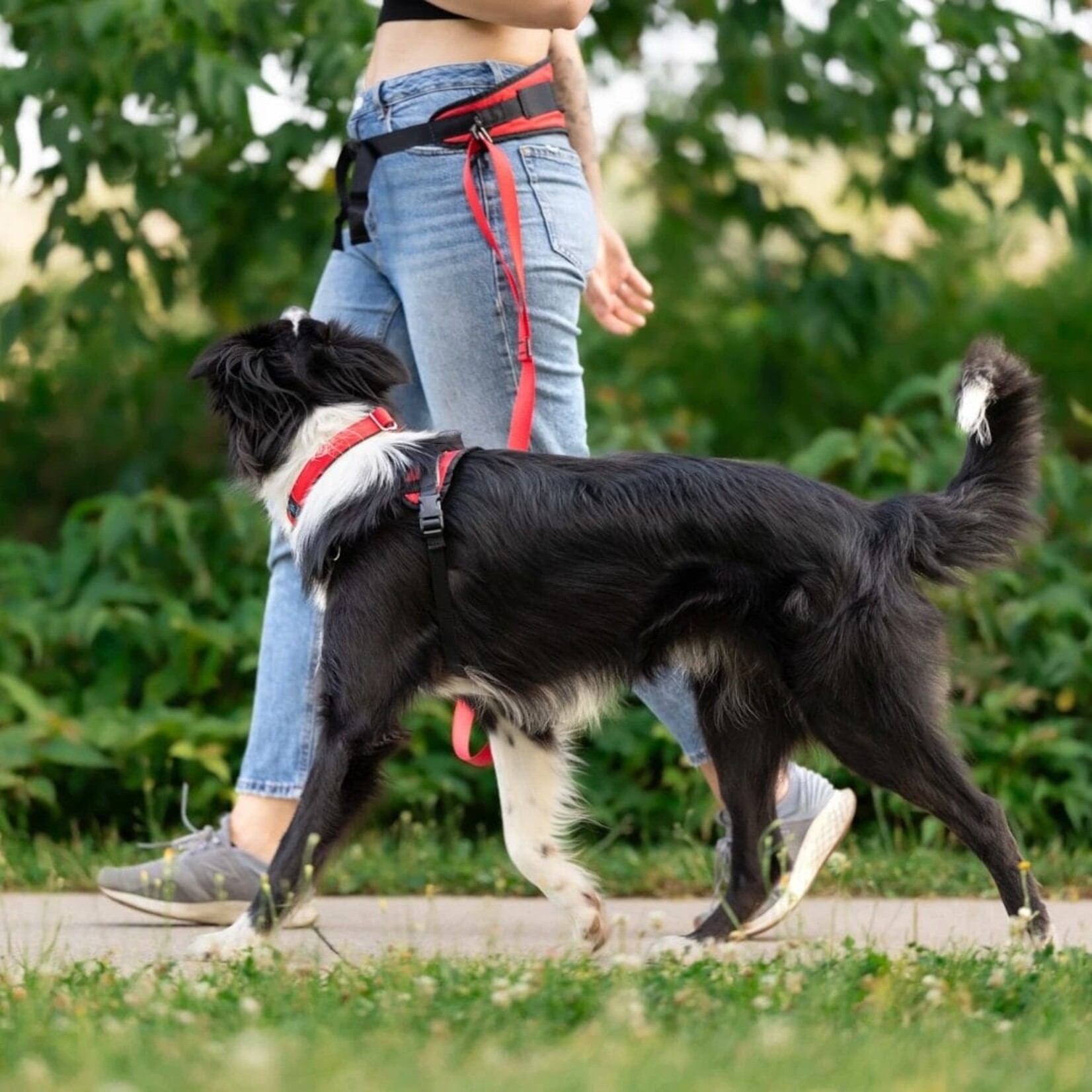 Nahak Ceinture multifonction