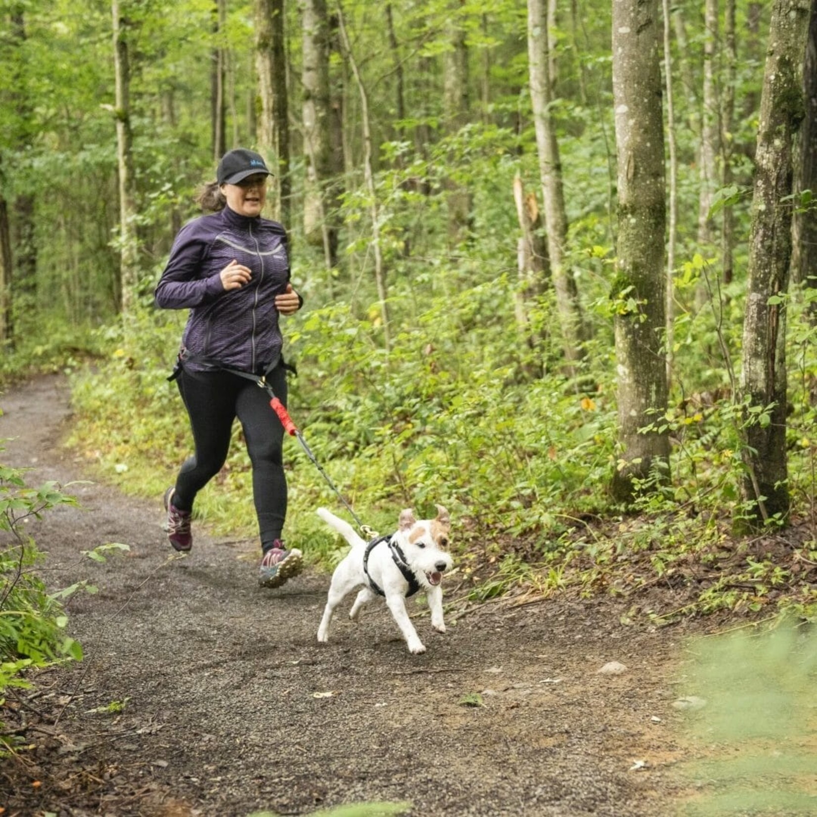 Nahak Multifunctional belt