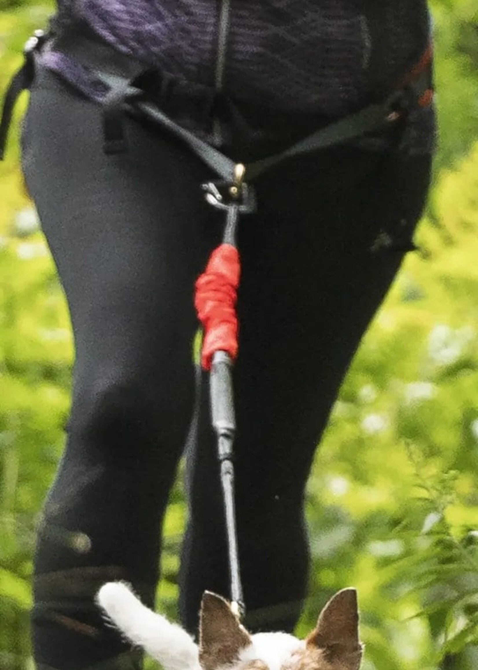 Nahak Multifunctional belt