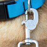 Nahak Laisse pour chien | Multifonction