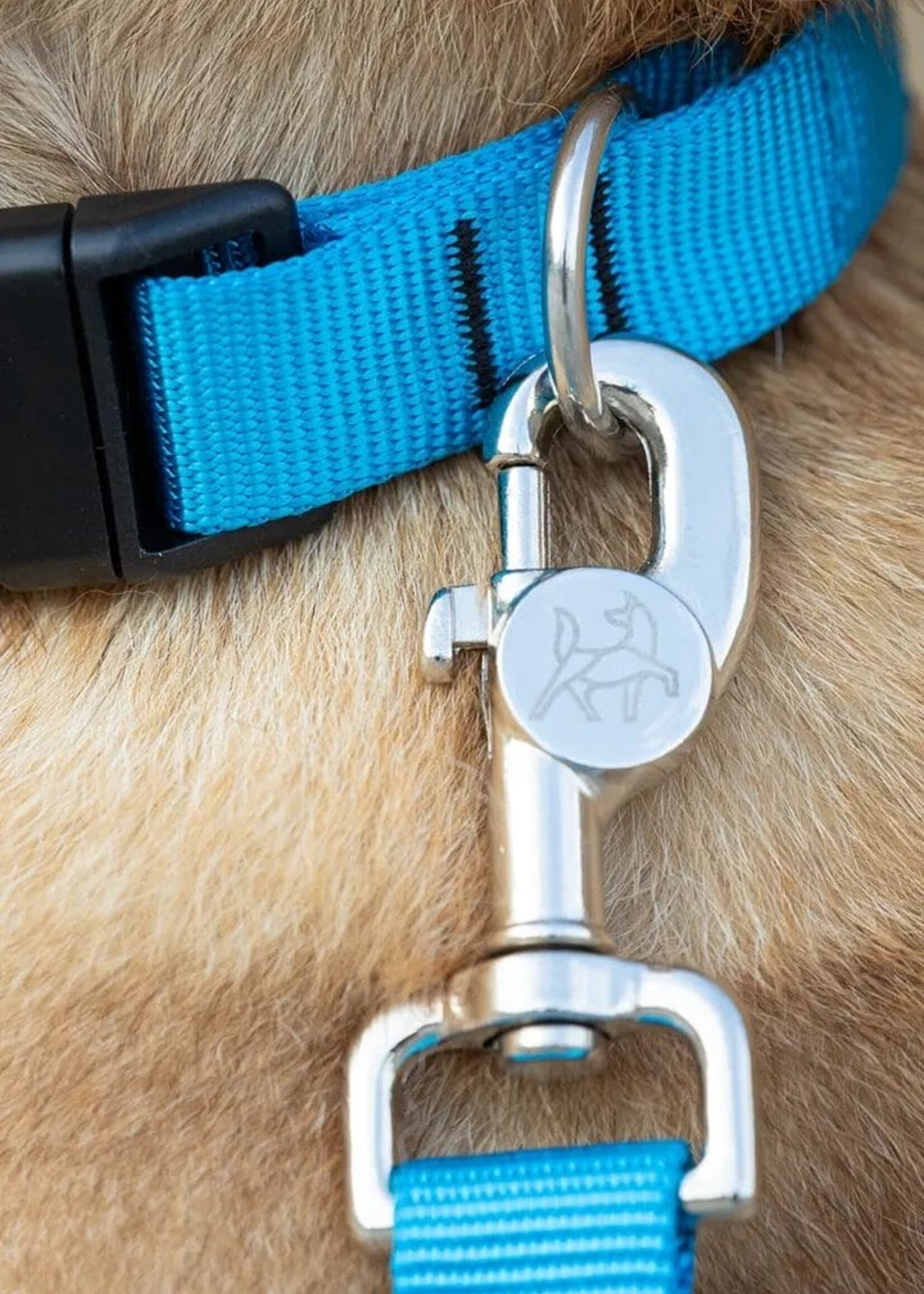 Nahak Laisse pour chien | Multifonction