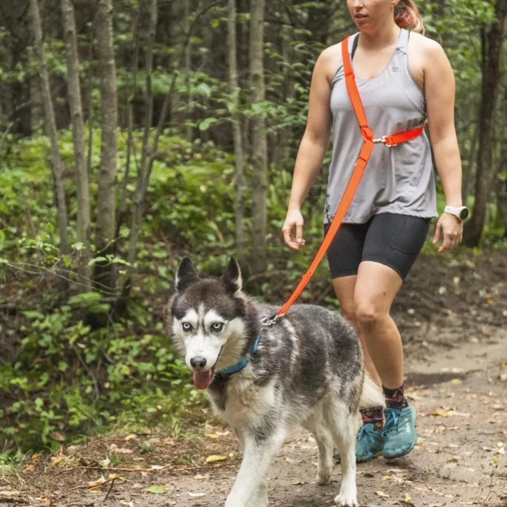 Nahak Laisse pour chien | Multifonction