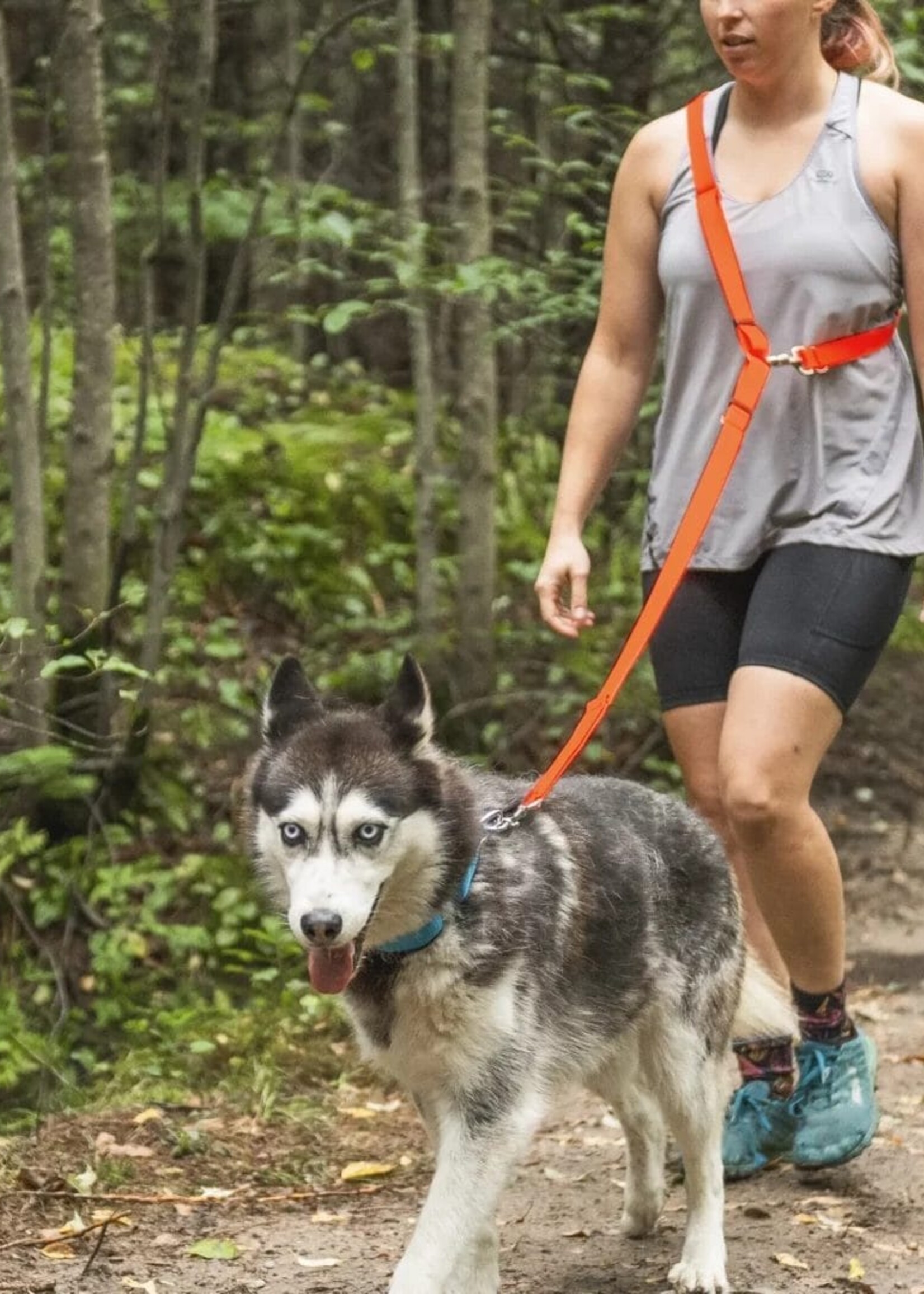 Nahak Laisse pour chien | Multifonction