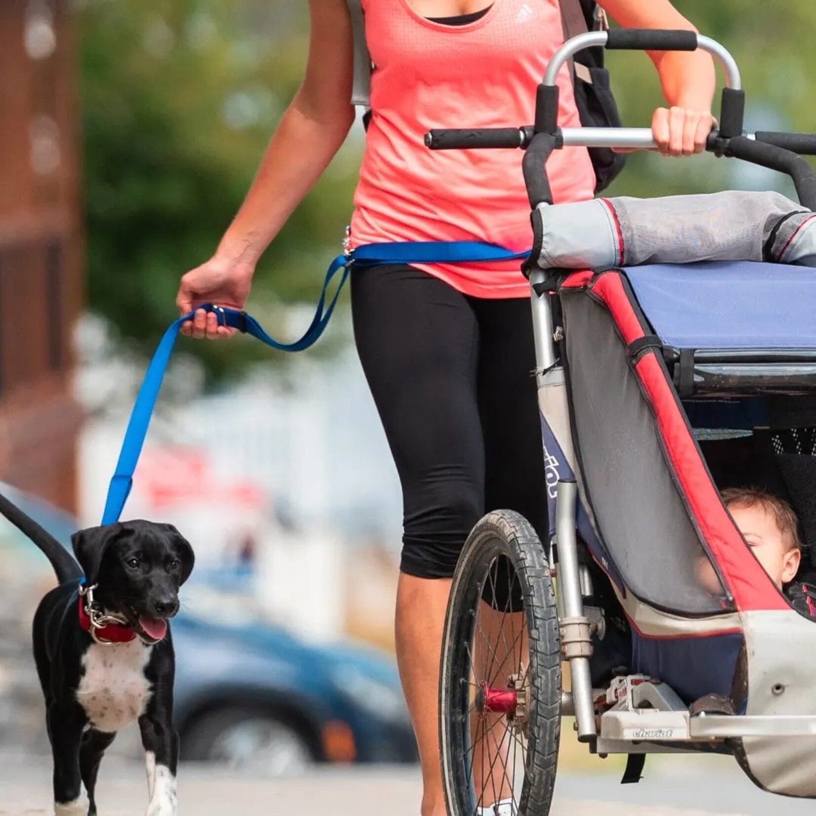 Nahak Dog leash | Multifunctional