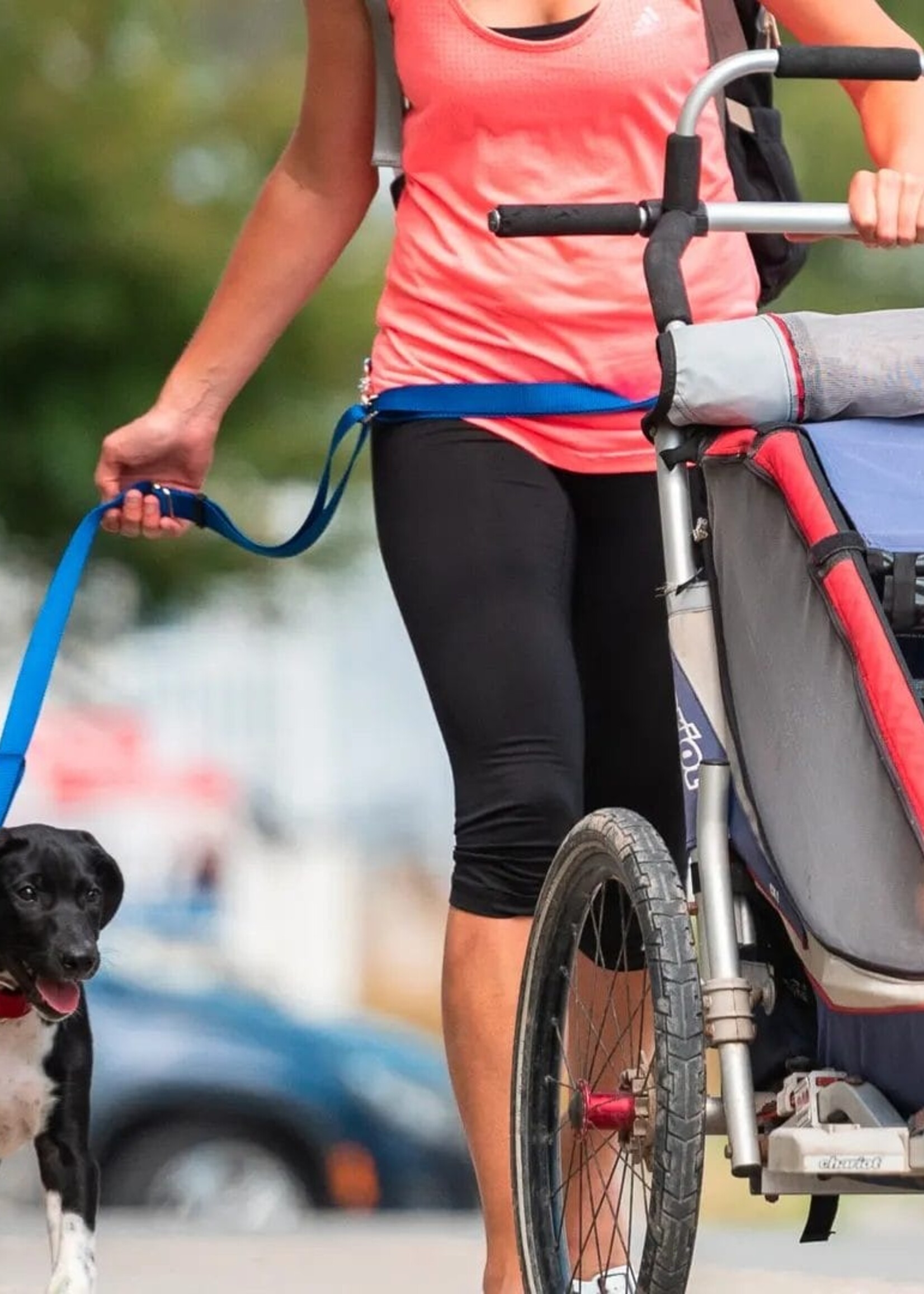 Nahak Laisse pour chien | Multifonction