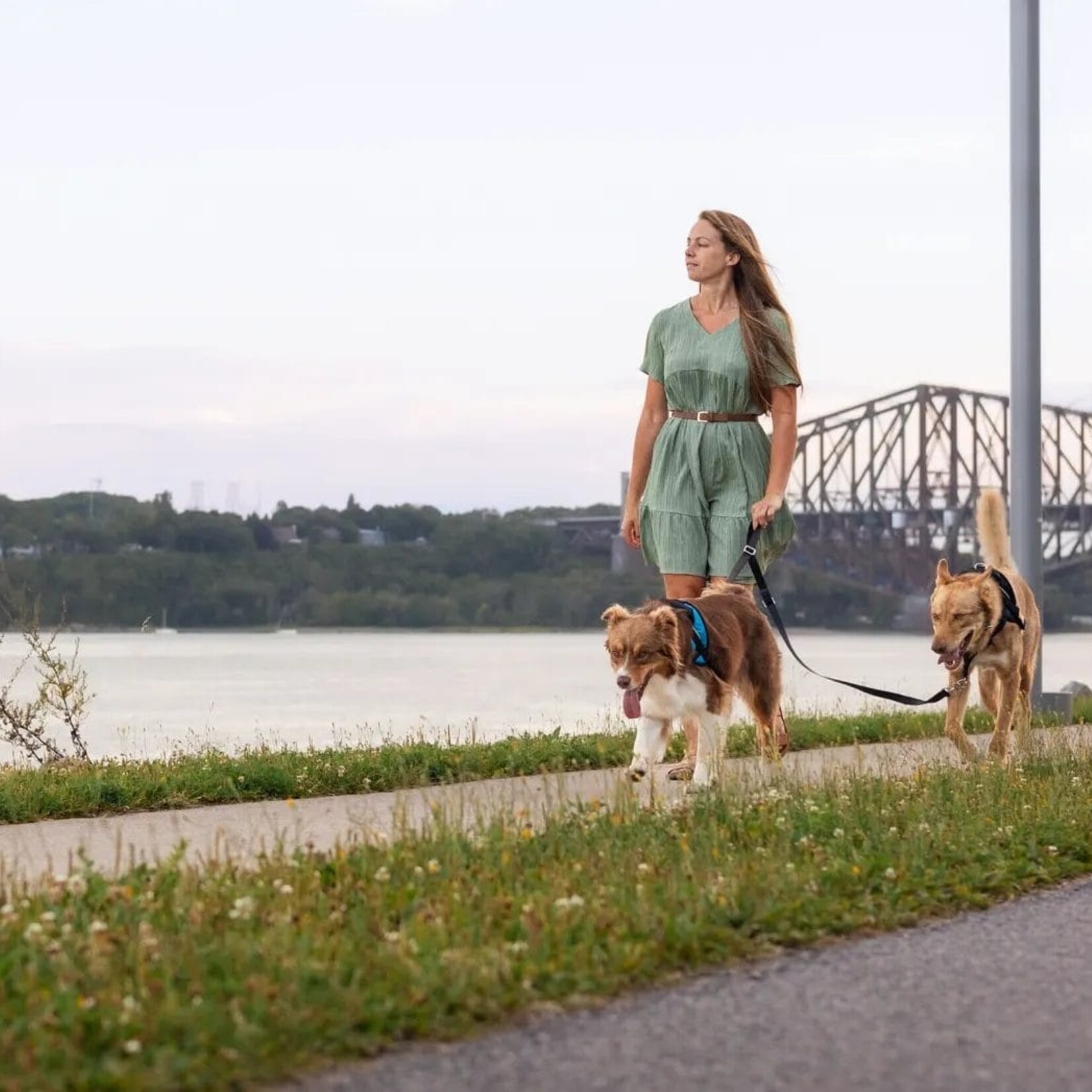 Nahak Laisse pour chien | Multifonction