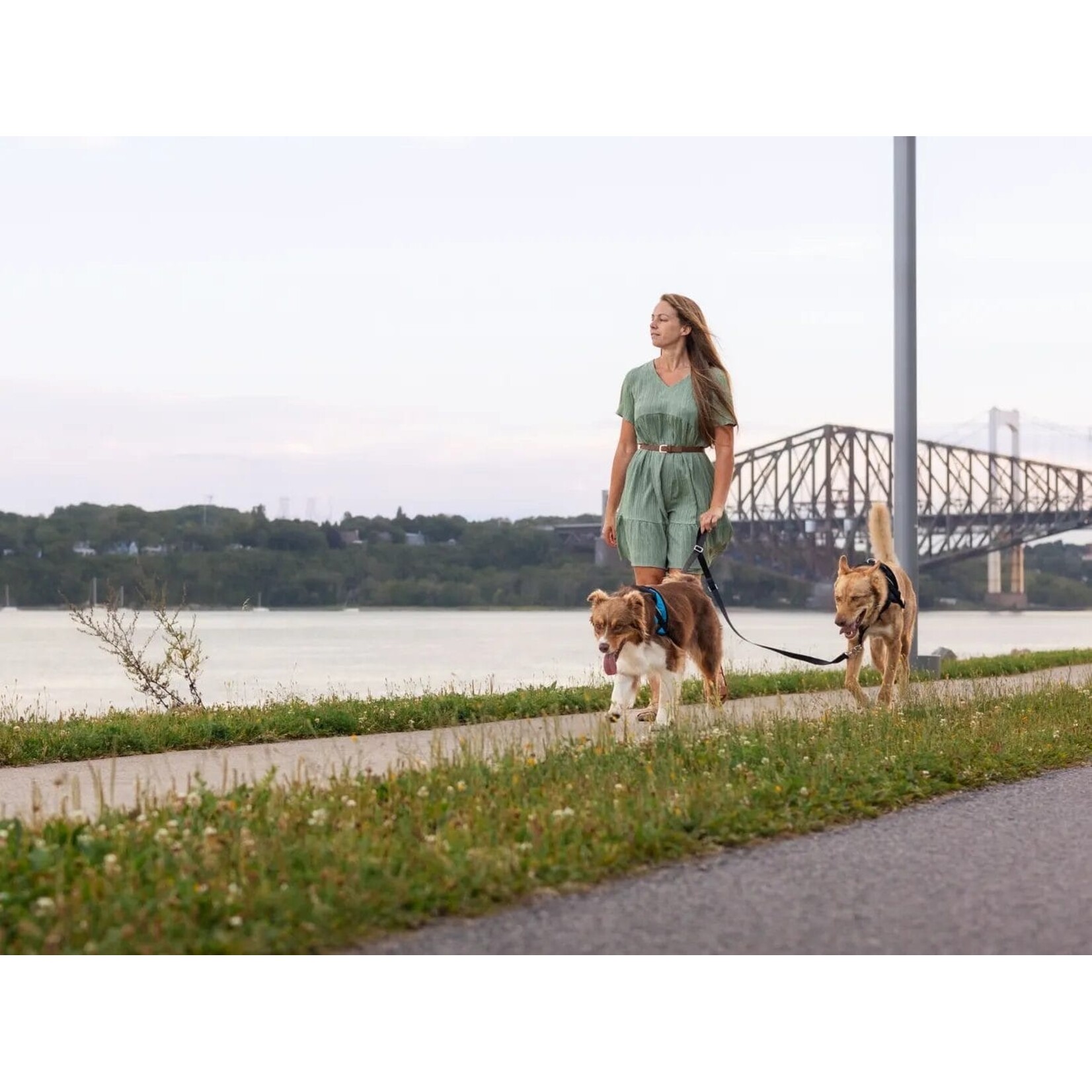 Nahak Laisse pour chien | Multifonction