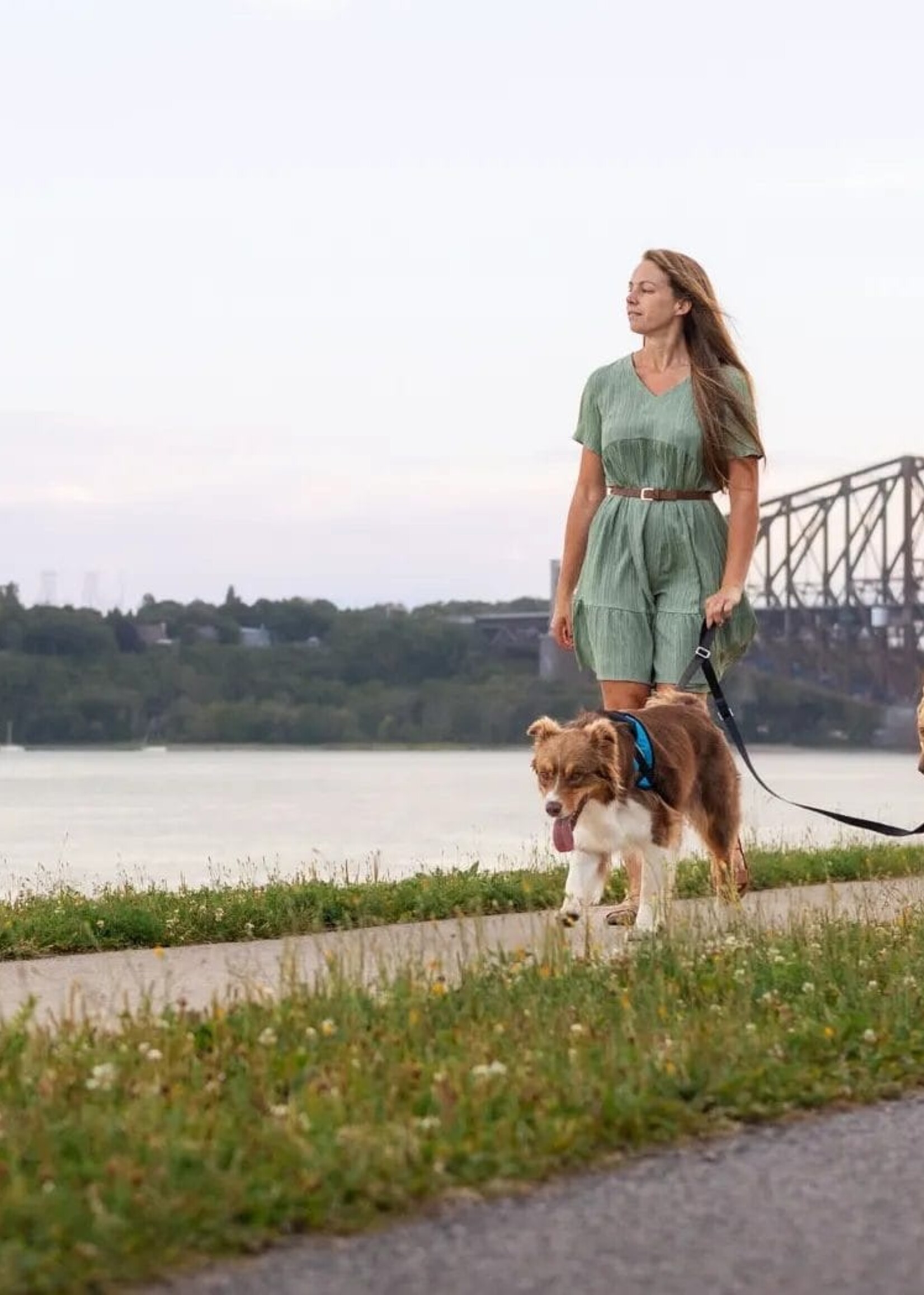 Nahak Laisse pour chien | Multifonction