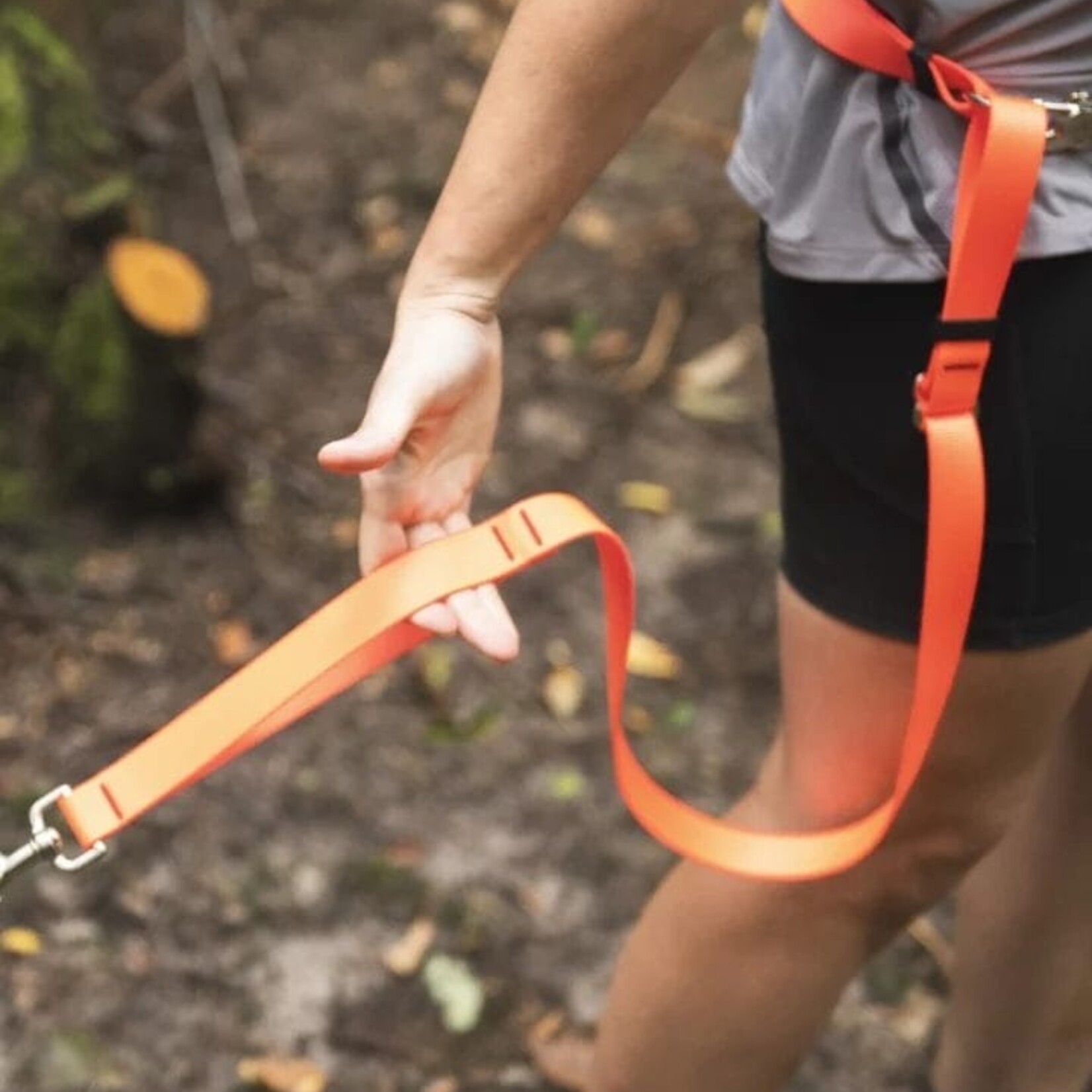 Nahak Laisse pour chien | Multifonction