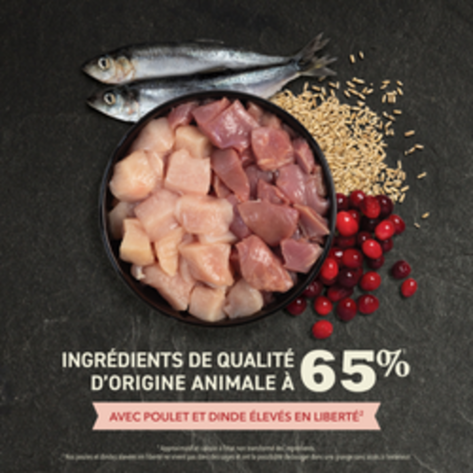 ACANA Indoor Entrée Recipe with Poultry & Fish Dry Cat Food