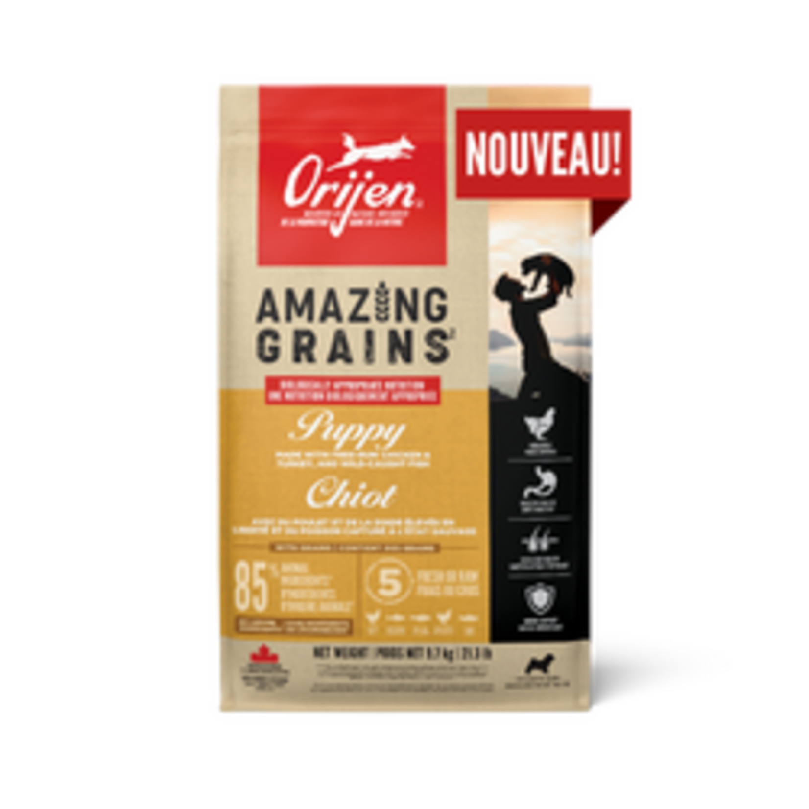 ORIJEN Amazing Grains™, Puppy Dry Dog Food