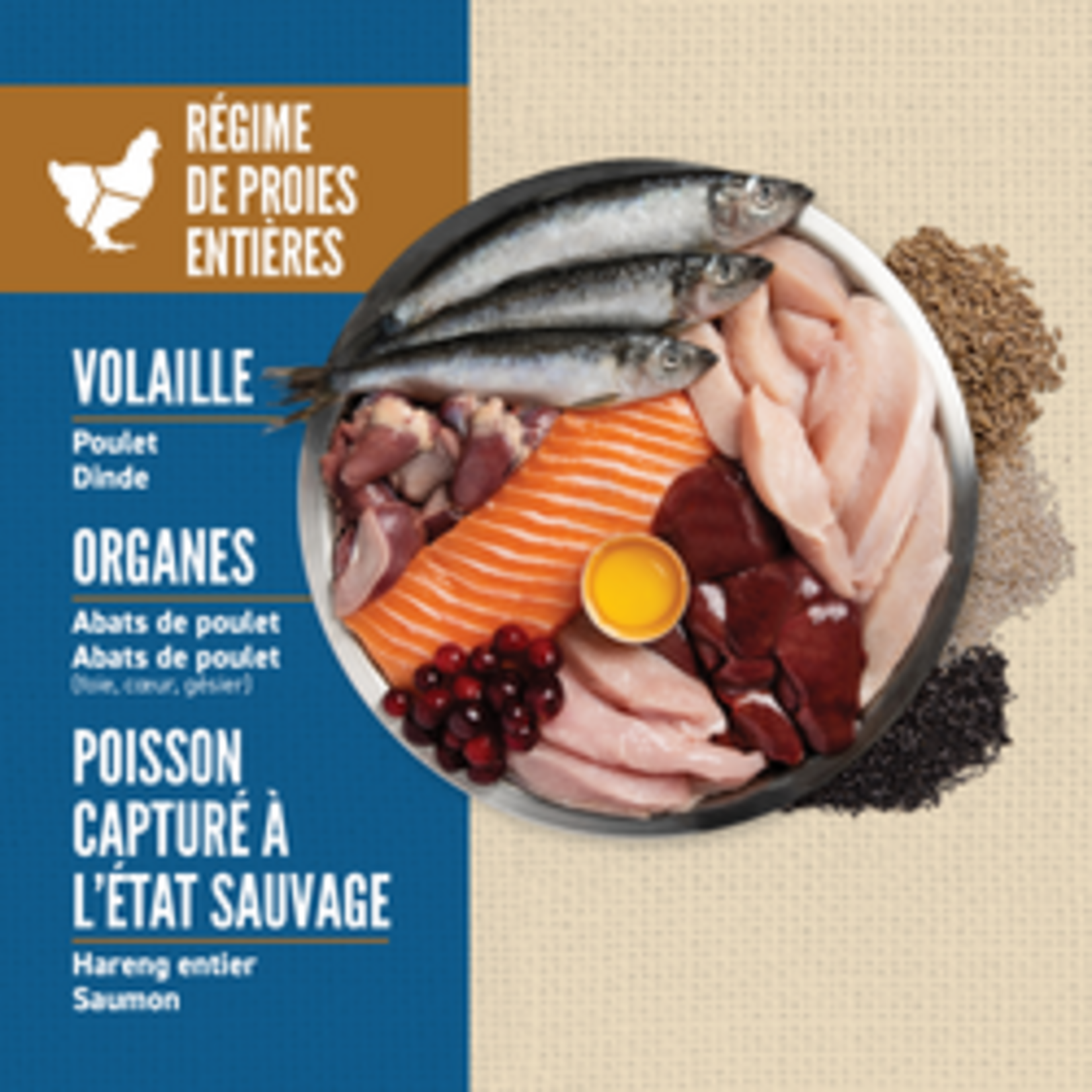 ORIJEN Amazing Grains™, Originale Croquettes pour chiens