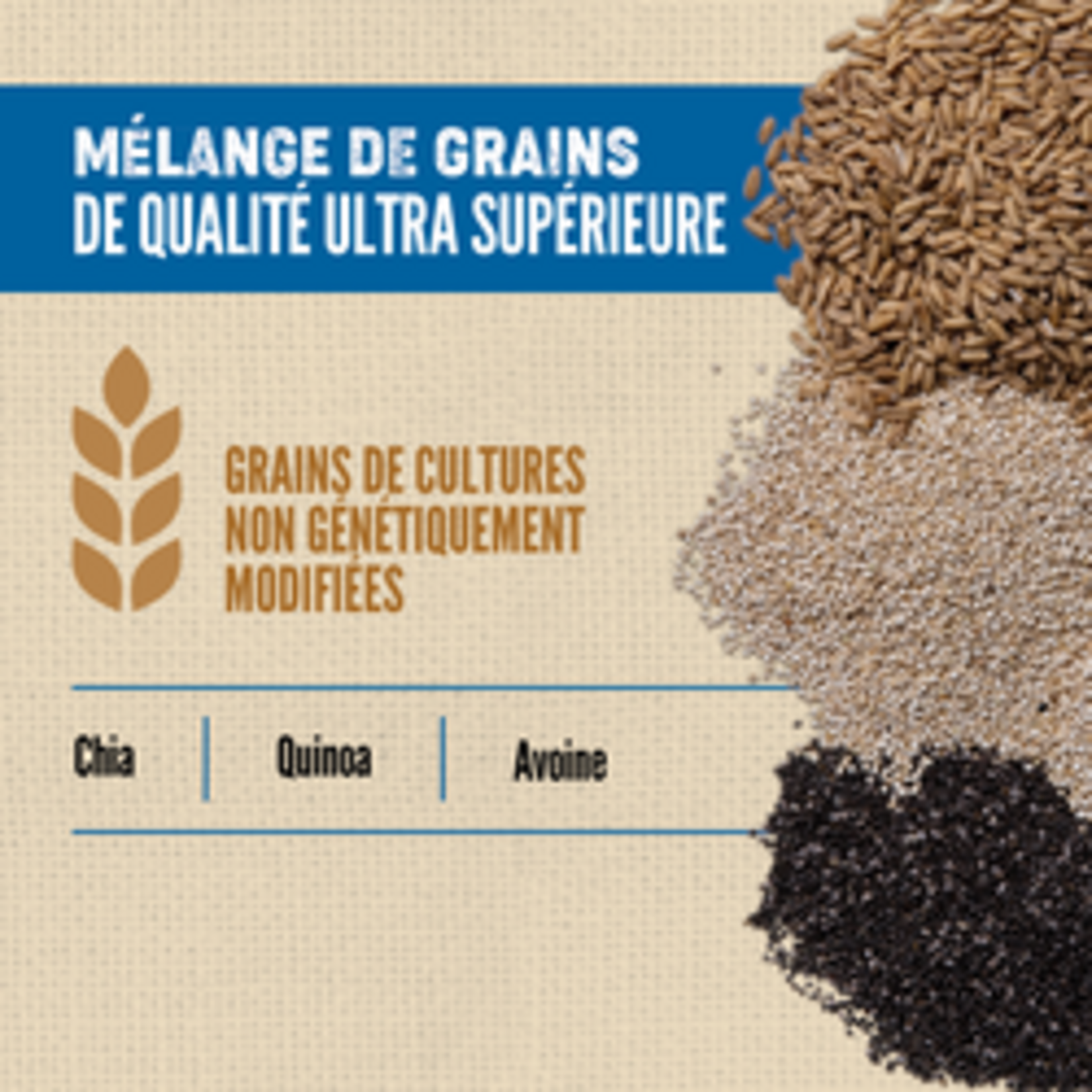 ORIJEN Amazing Grains™, Original Dry Dog Food
