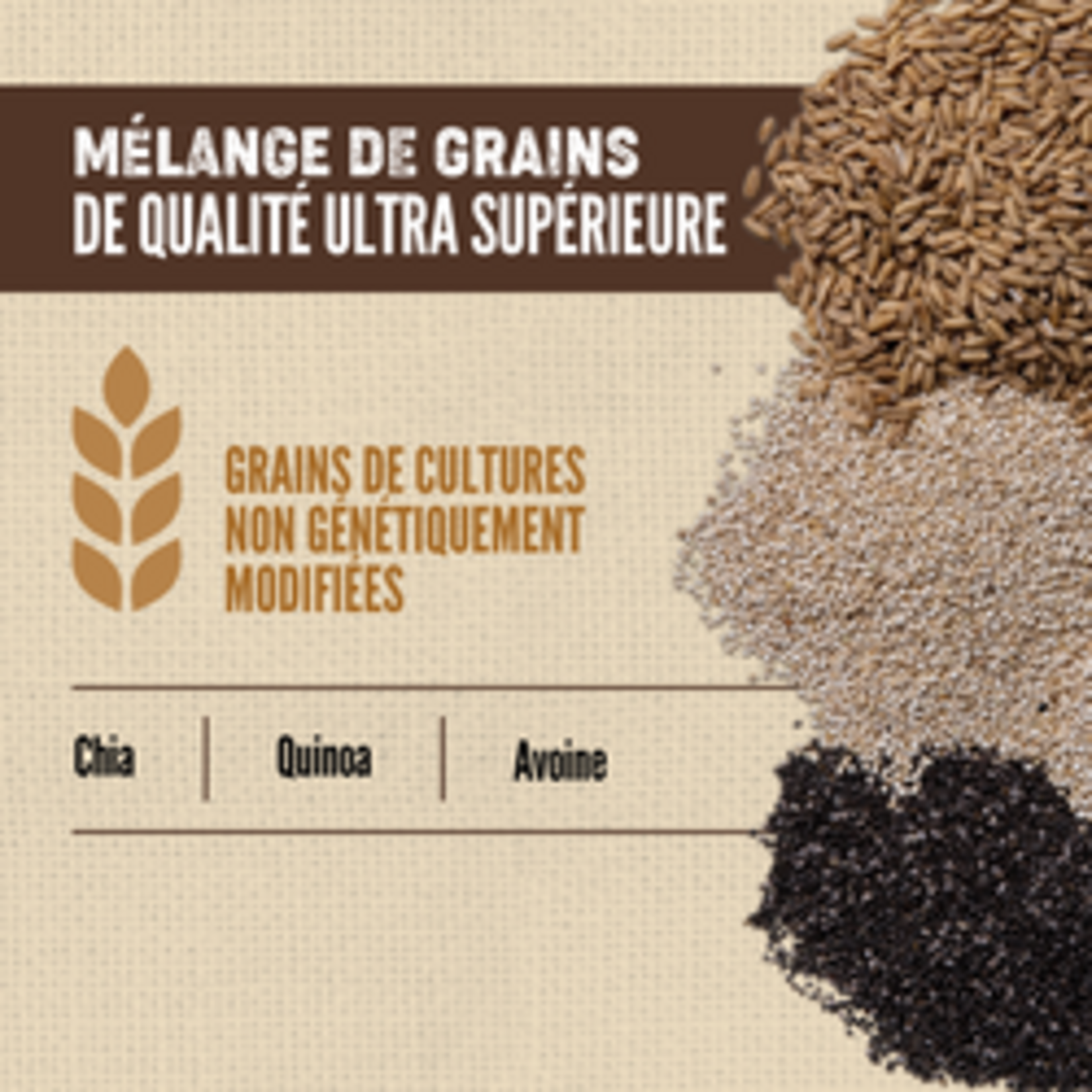 ORIJEN Amazing Grains™, Regional Red Croquettes pour chiens