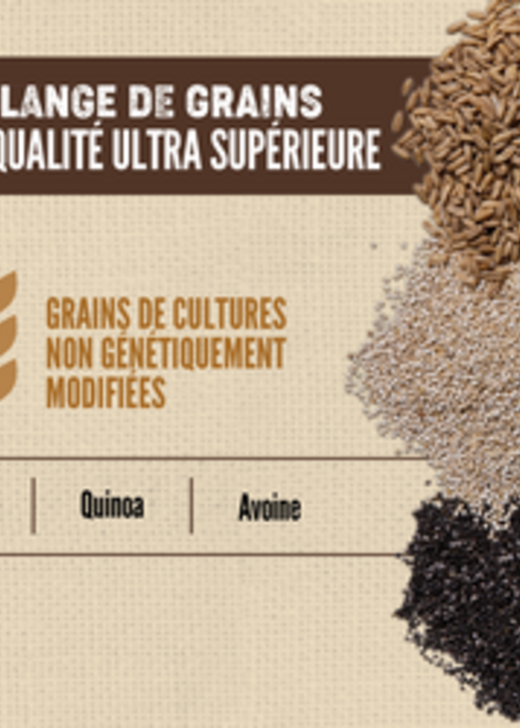 ORIJEN Amazing Grains™, Regional Red Croquettes pour chiens