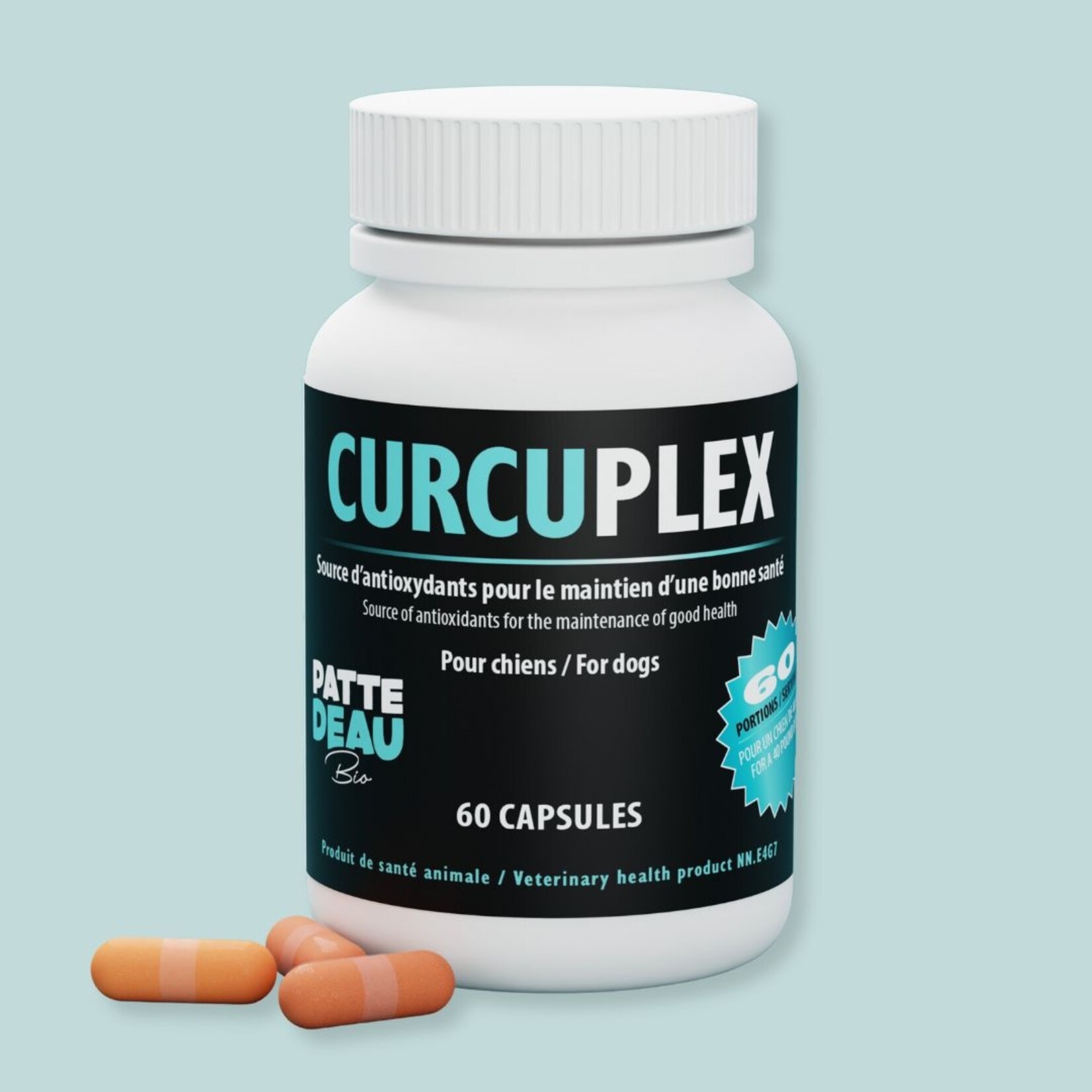 PATTEDEAU BIO Curcuplex Curcuma liposome : Digestion/articulation/yeux