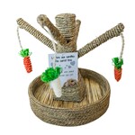 The carrot tree, a toy for cats and rabbits
