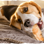 Collagen-based roller