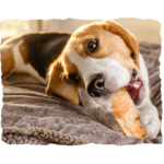 Nothin, to Hide Collagen-based roller