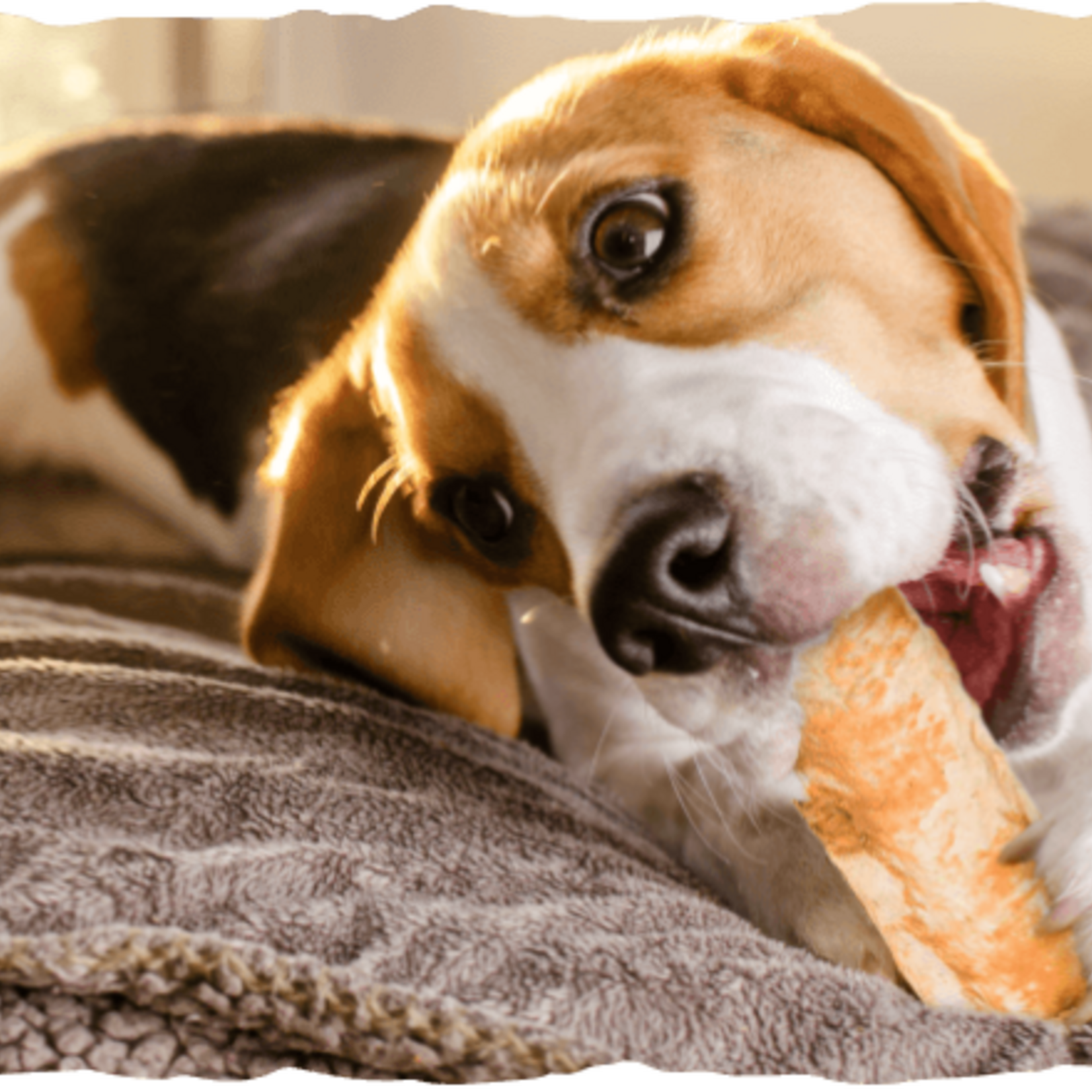 Collagen-based roller