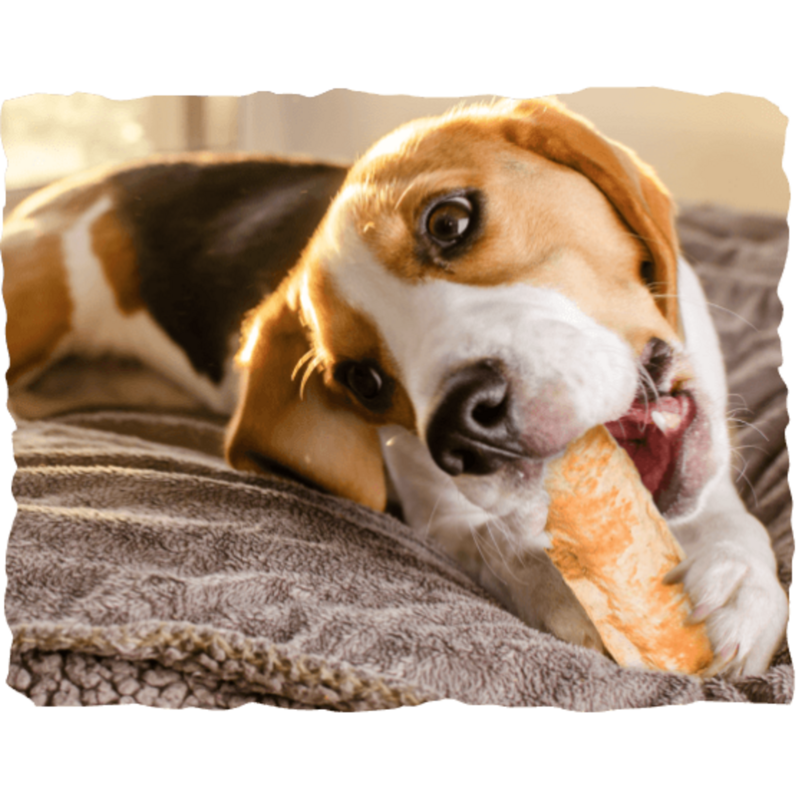 Nothin, to Hide Collagen-based roller