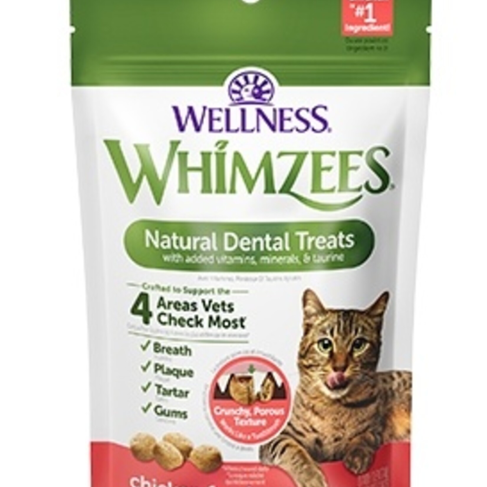 Soins dentaires naturels pour chats