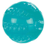 Balle Denta Fun  6 cm| Thermoplastique | Durable | Chien