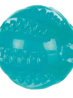 Balle Denta Fun  6 cm| Thermoplastique | Durable | Chien