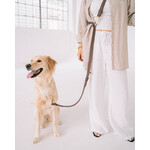 Laisse Imperméable  - Pour Chien - Couleur Espresso 6'