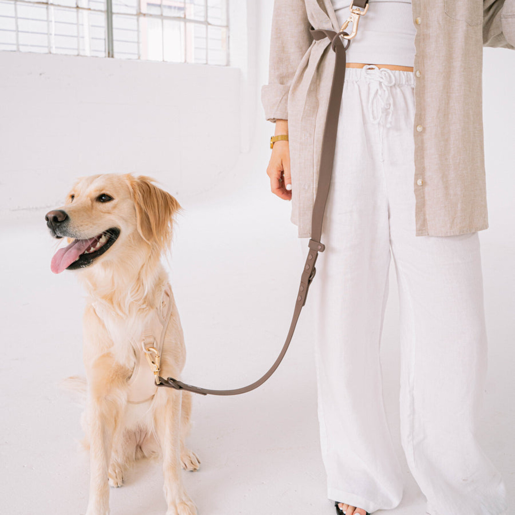 Waterproof Dog Leash - Espresso Color 6'