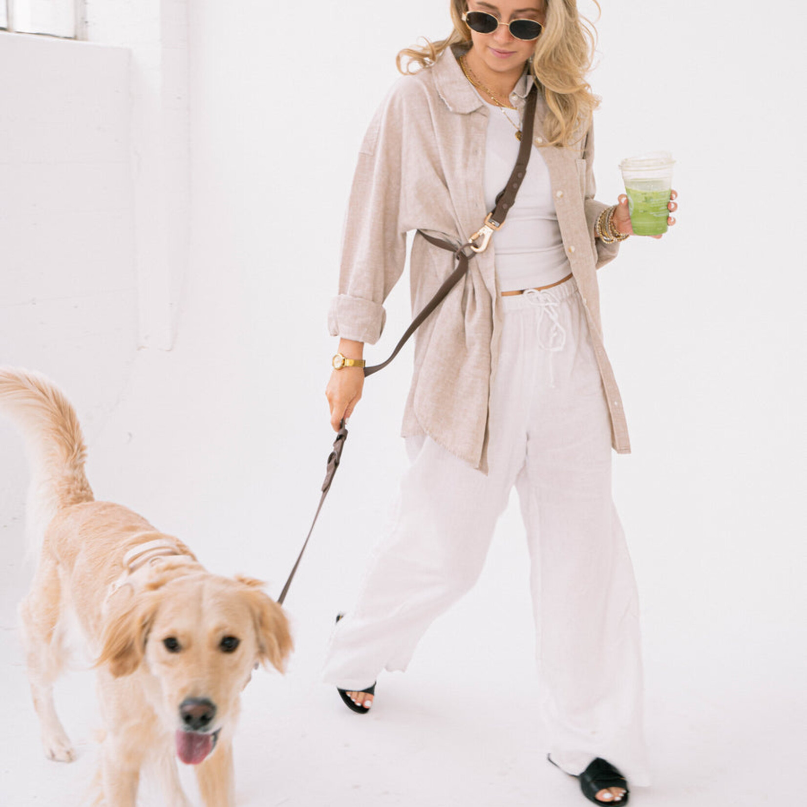 Laisse Imperméable  - Pour Chien - Couleur Espresso 6'