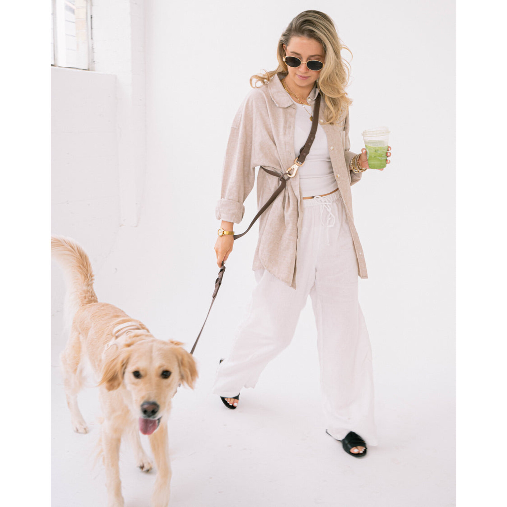 Waterproof Dog Leash - Espresso Color 6'