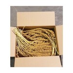 Millet pour oiseaux Econo-max | Qualité et Meilleur Prix | 5 lb