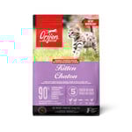 ORIJEN Chaton – Nourriture Haute Protéine pour Croissance