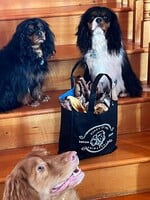 Club Canin Privilège - Le Combo 24 Morceaux - Sans Abonnement