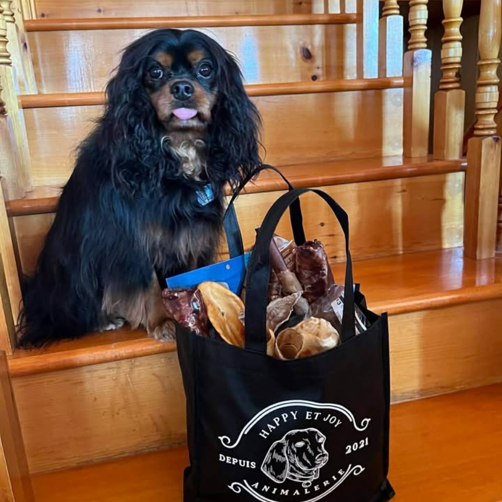 Privilege Dog Club - The Combo 24 Pieces - No Subscription