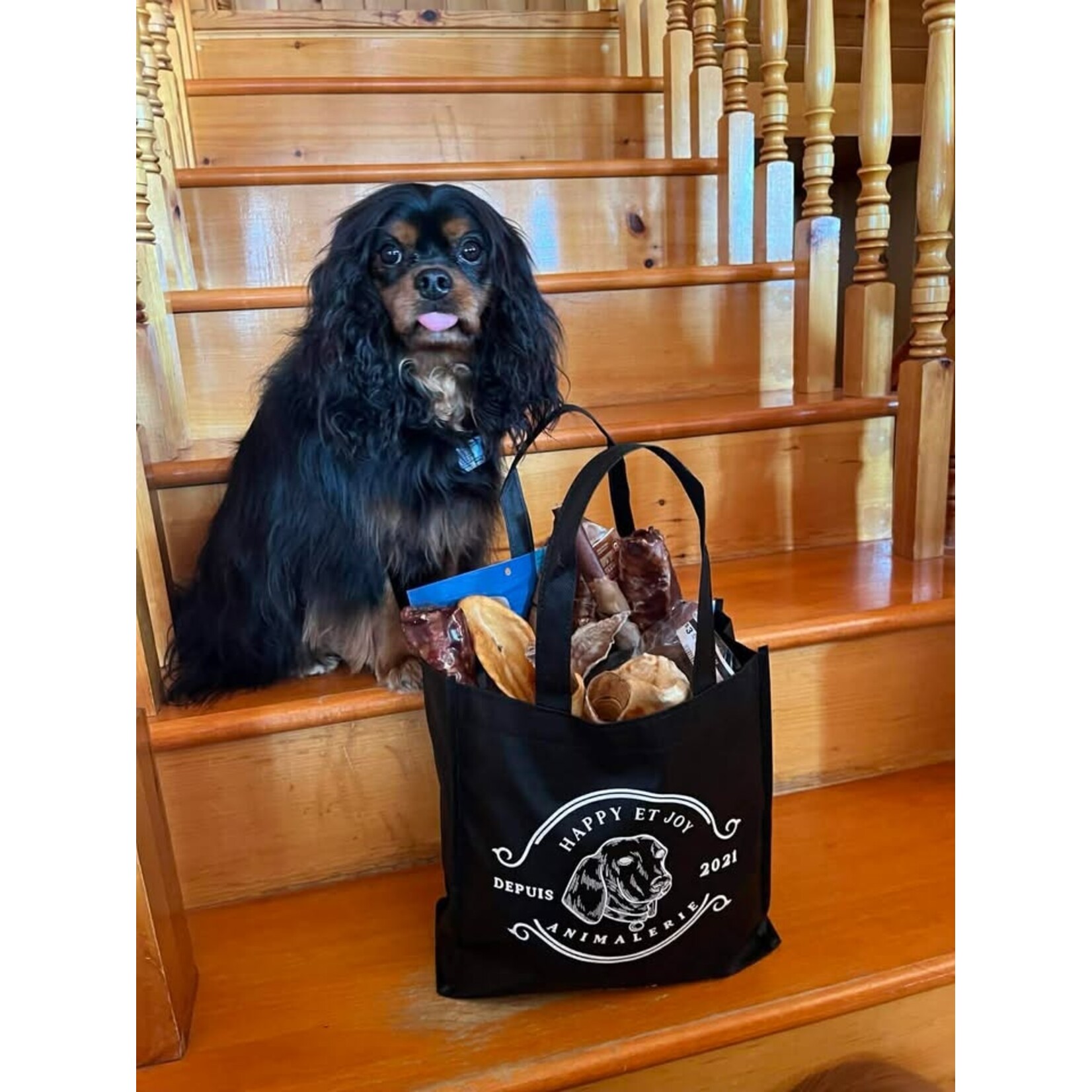 Privilege Dog Club - The Combo 24 Pieces - No Subscription