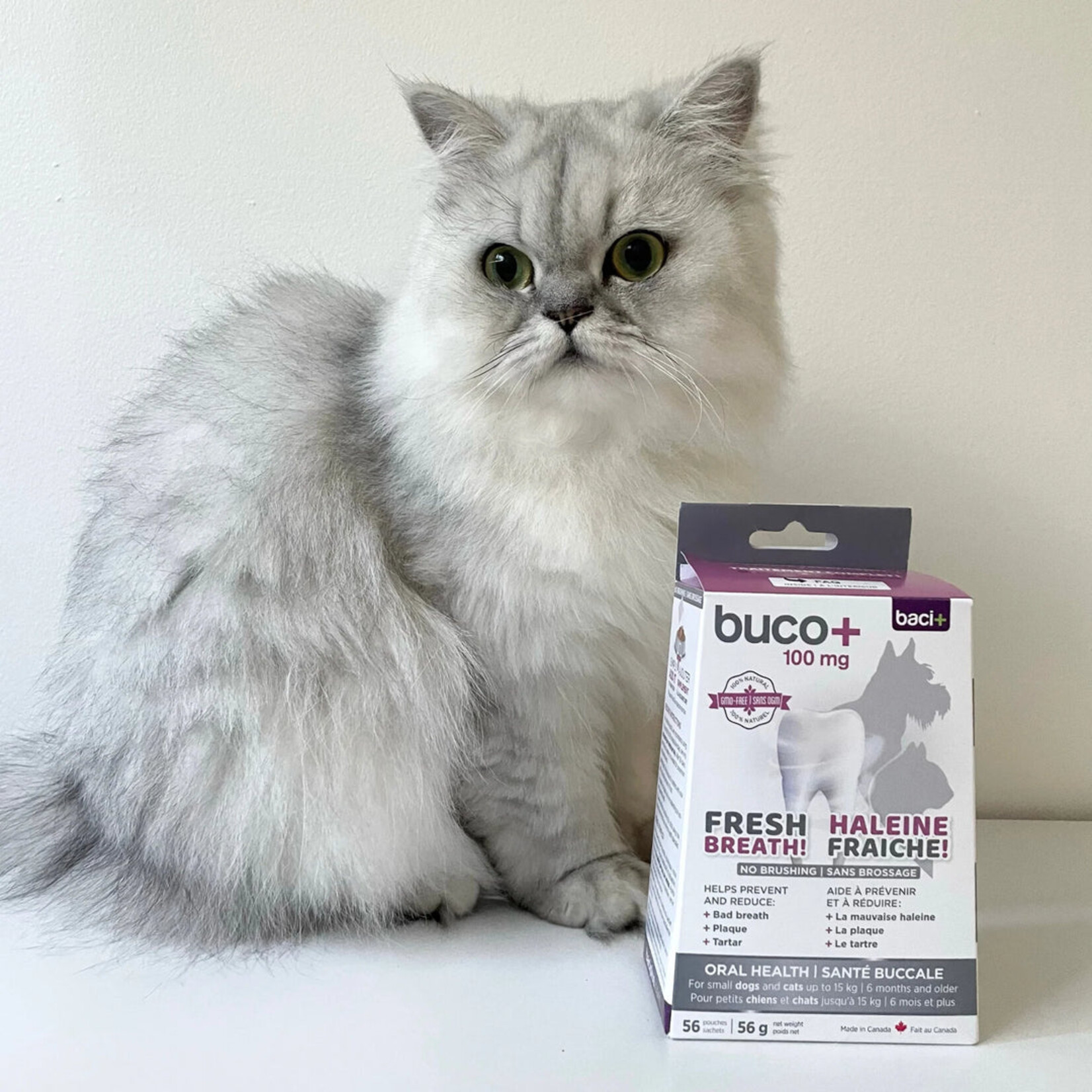 buco+ Oral Hygiene — Health Canada approved solution for cats and dogs