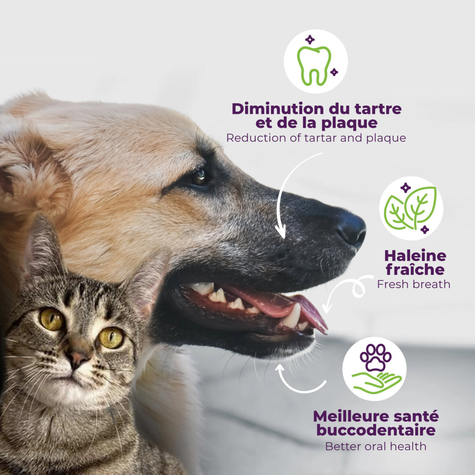 buco+ Oral Hygiene — Health Canada approved solution for cats and dogs