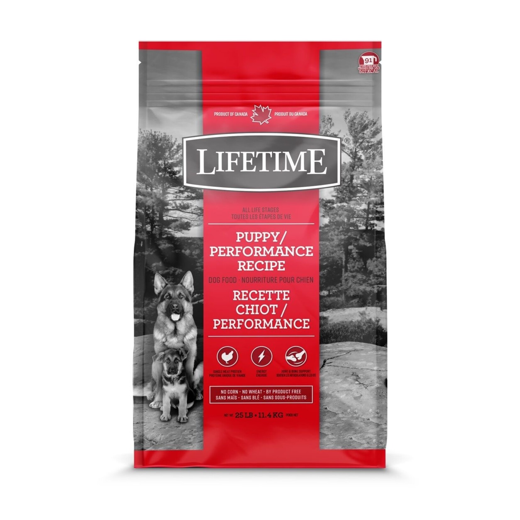 Trouw Nutrition Puppy Food, Performance Chicken/Oat