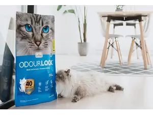 INTERSAND ODOURLOCK MAXCARE